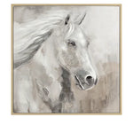 Light Equine